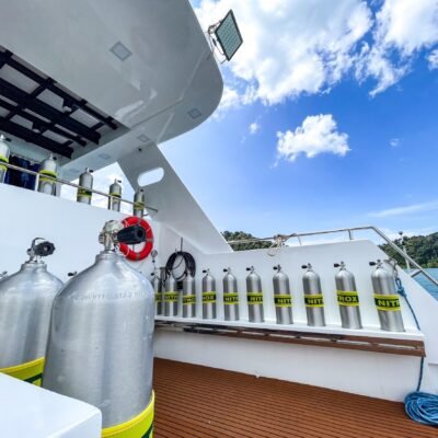 Mandarin Queen Jovanna dive deck platform