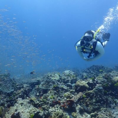 Scuba Divingin the Similan Islands National Marine Park