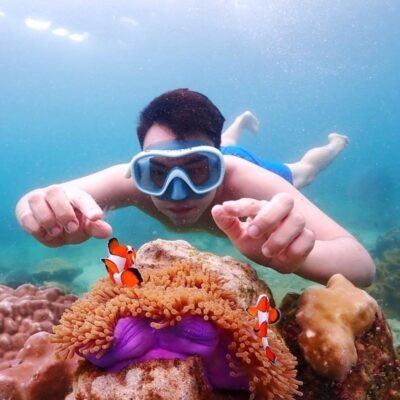 Similan Islands Snorkeling Day Trip