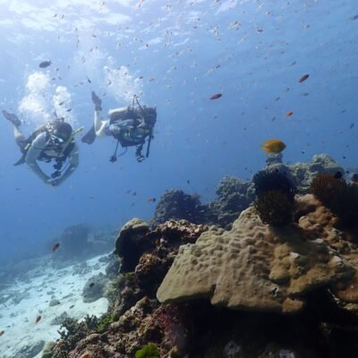 Similan Liveaboards Scuba Divers