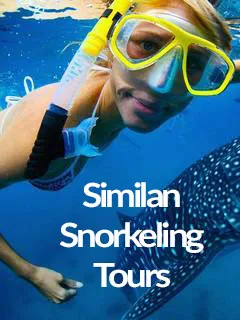 Similan-Snorkeling-Tours