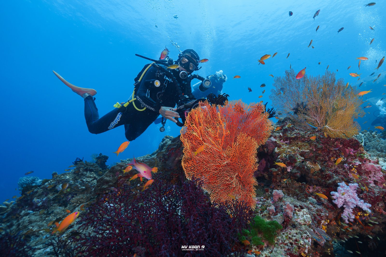 Richelieu Rock & Surin Islands 2 Days 1 Nights - Image 25